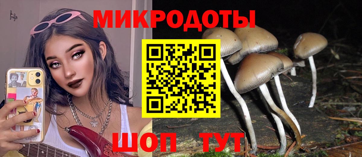 цена наркотик  Вход с VPN  Мариинск  Галлюциногенные грибы Magic Shrooms  Псилоцибиновые грибы Cubensis 